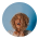 head-img